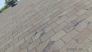 roof with tree damage